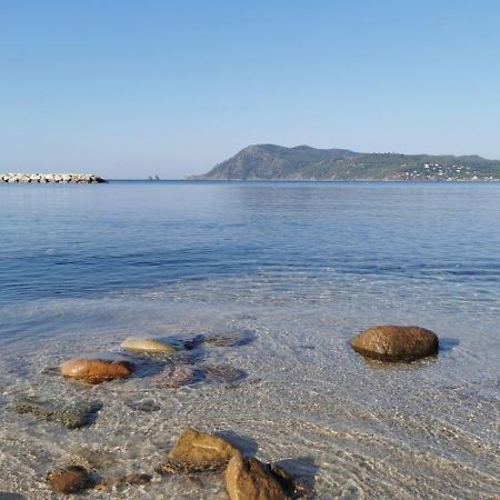 Havre De Paix A 2 Pas De L'Eau, Autonomie Lägenhet Saint-Mandrier-sur-Mer Exteriör bild