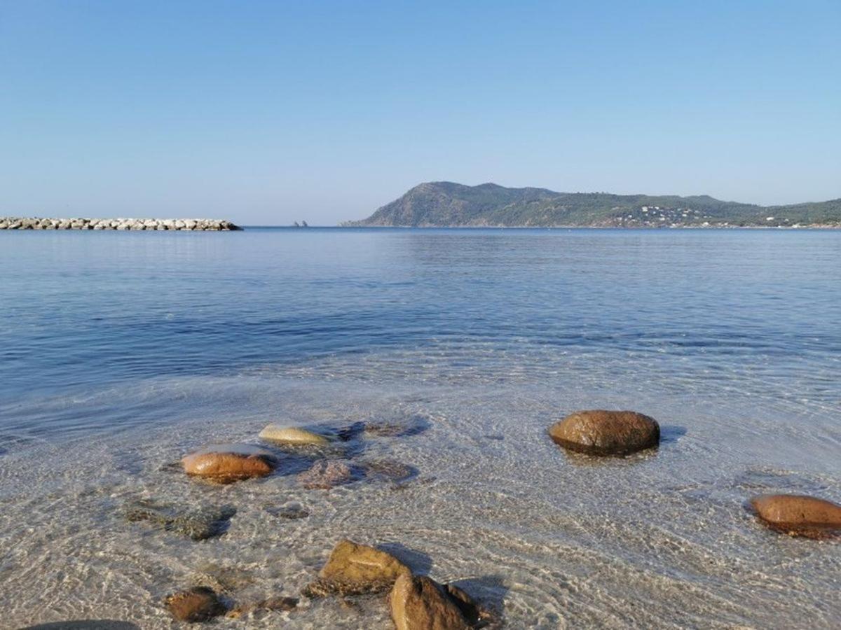 Havre De Paix A 2 Pas De L'Eau, Autonomie Lägenhet Saint-Mandrier-sur-Mer Exteriör bild